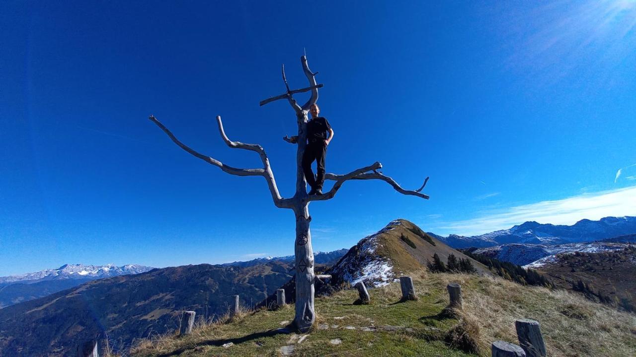 Birnbaum Chalets Grossarl Buitenkant foto